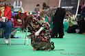 Crufts2011_2 830